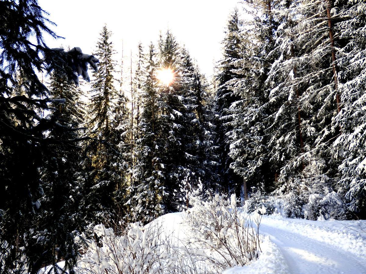 Die Natur Residenz Innervillgraten Exterior foto